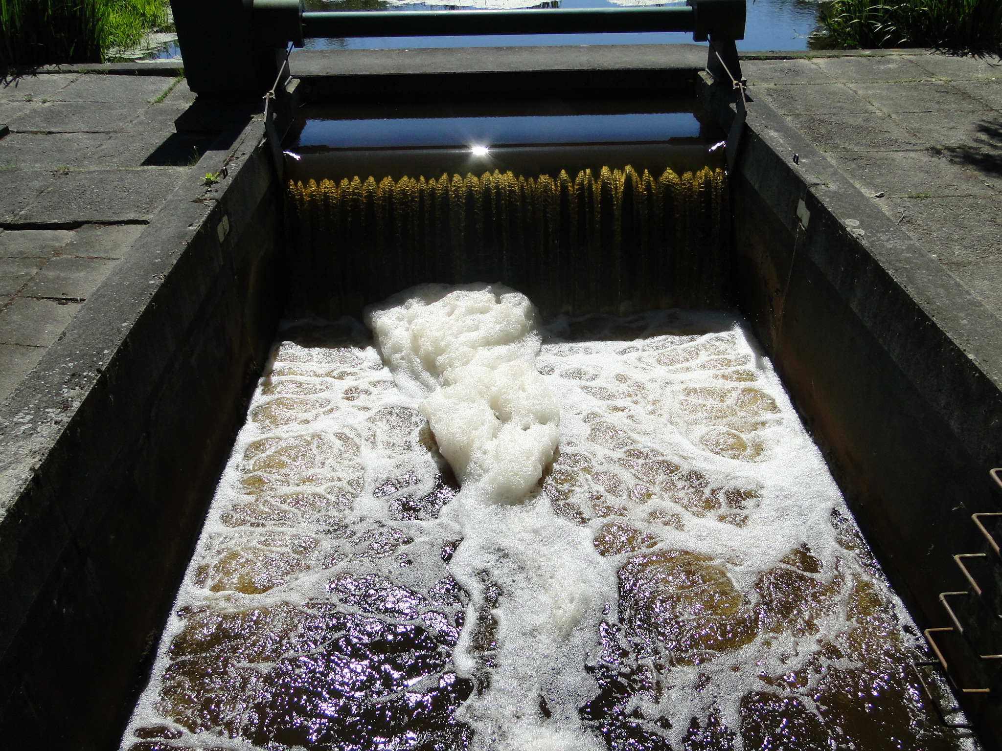 2011HWK 151.jpg
